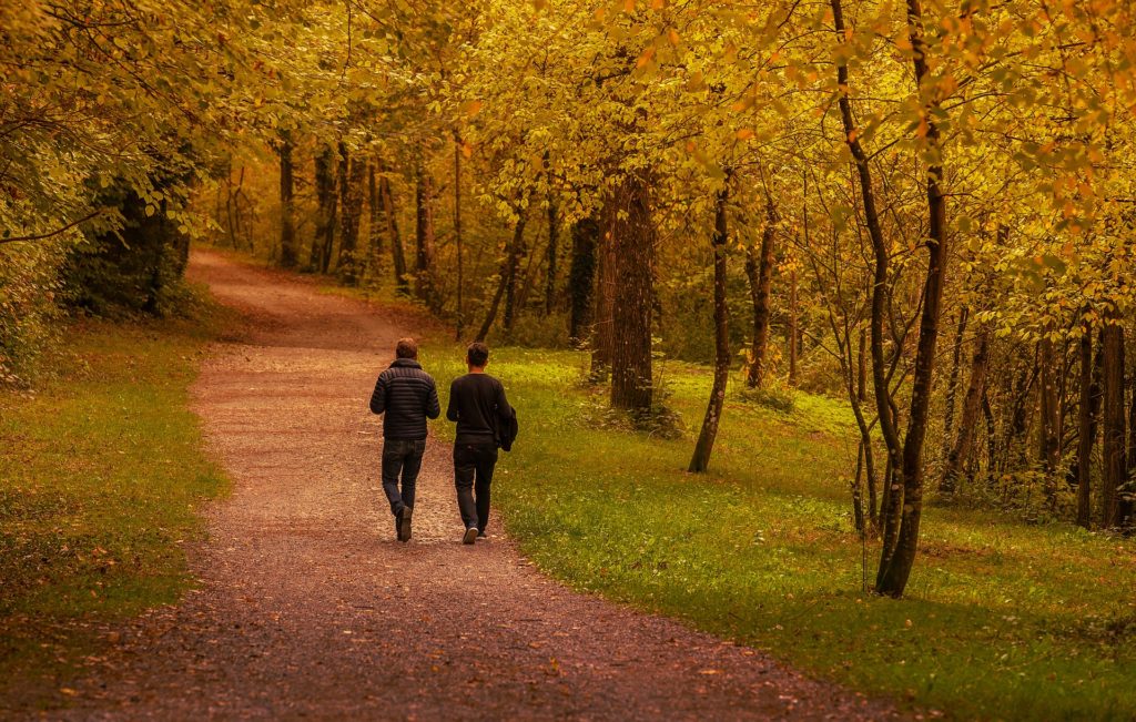 Männer Kreise Franz Homann Ayurveda